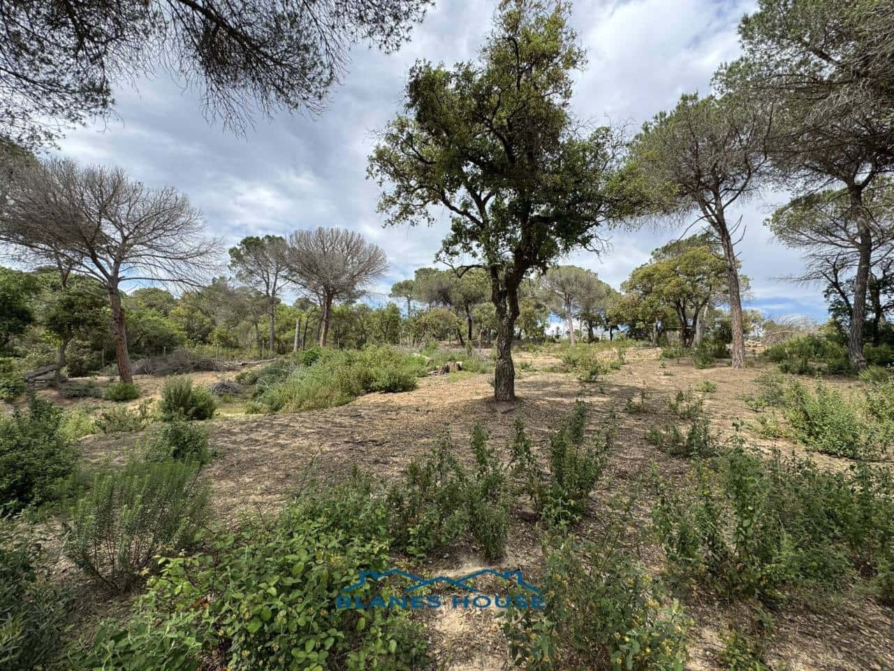 4 soveværelse Finca/Landehus til salg i Tordera med swimmingpool garage - € 475.000 (Ref: 9004936)