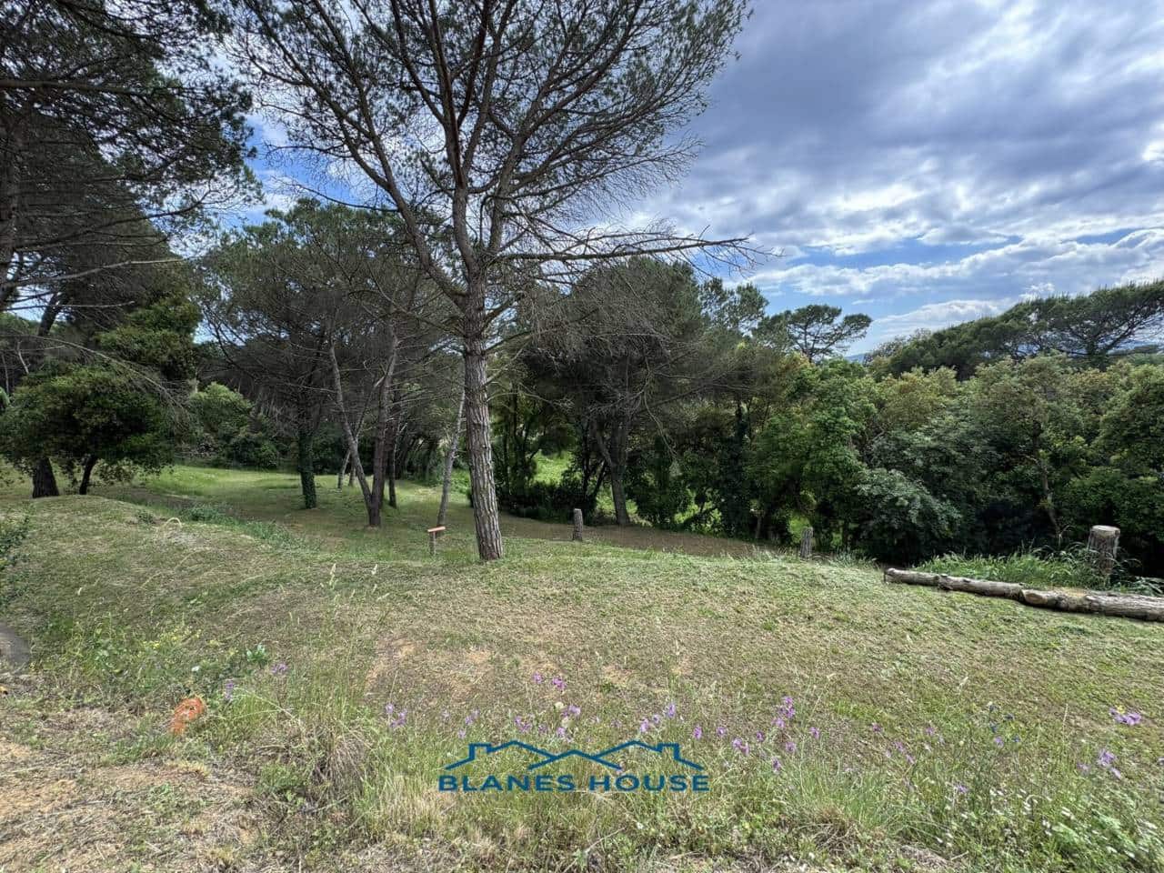 Finca/Country House for sale in Tordera - € 412,100 (Ref: 9004938)