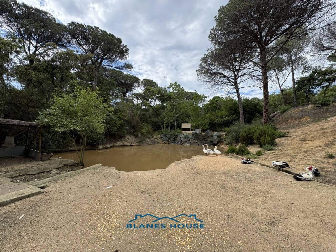 4 soveværelse Finca/Landehus til salg i Tordera med swimmingpool garage - € 475.000 (Ref: 9004939)