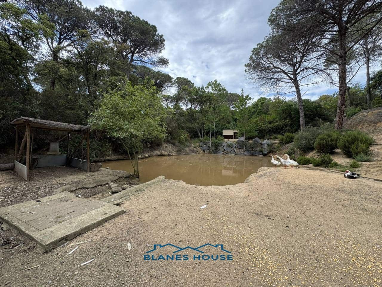 4 soveværelse Finca/Landehus til salg i Tordera med swimmingpool garage - € 475.000 (Ref: 9004939)