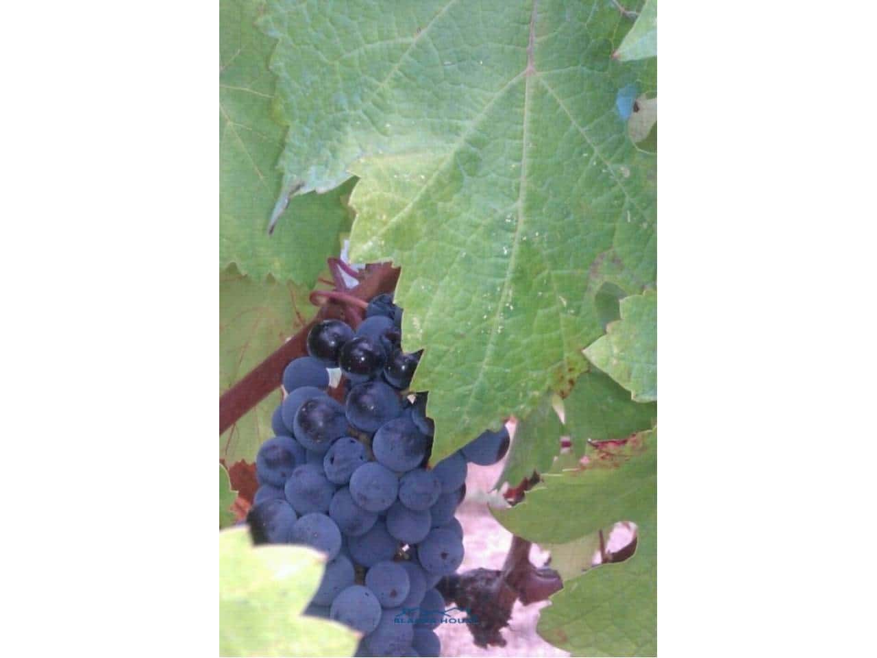 Finca/Landehus til salg i Blanes - € 295.000 (Ref: 9254571)