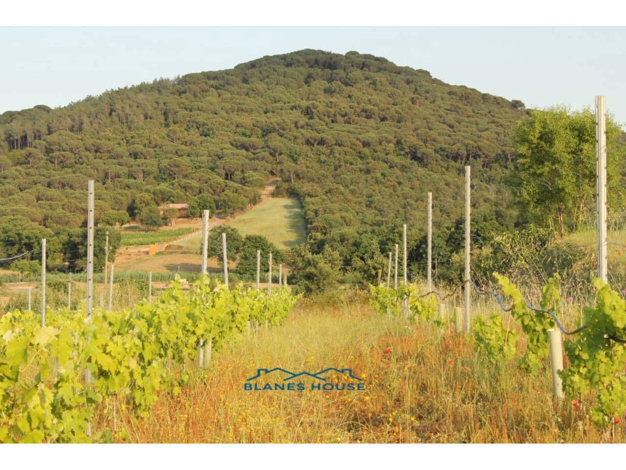 Finca/Landehus til salg i Blanes - € 295.000 (Ref: 9254571)