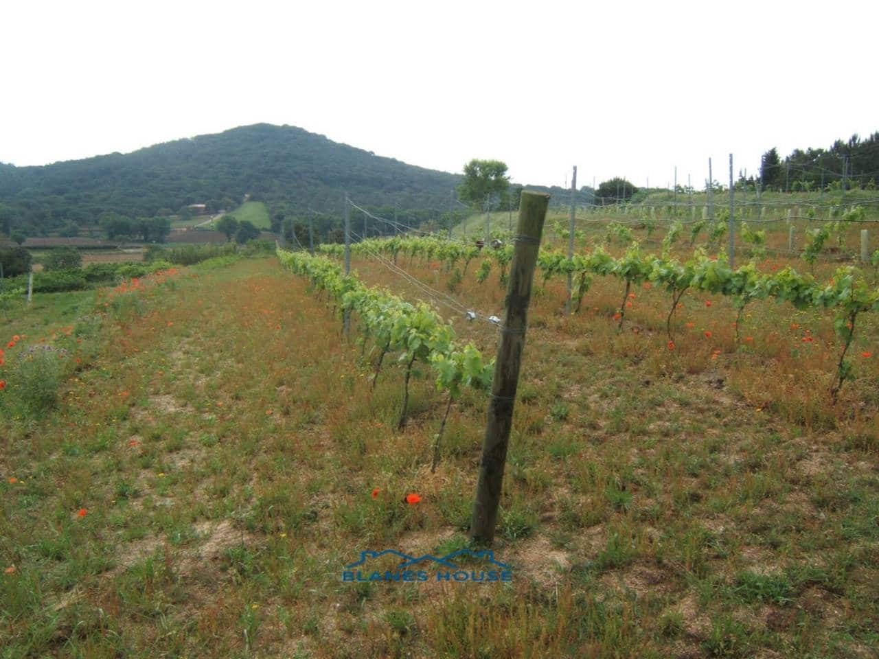 Finca/Landehus til salg i Blanes - € 295.000 (Ref: 9254571)