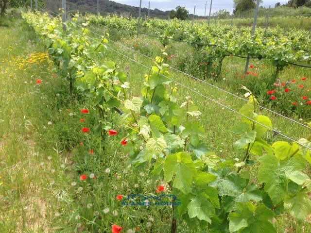 Finca/Casa di Campagna in vendita in Blanes - 295.000 € (Rif: 9254571)