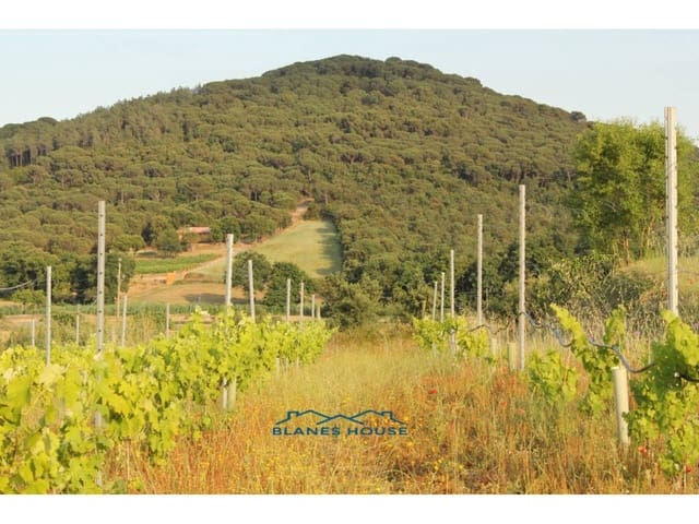 Finca/Casa di Campagna in vendita in Blanes - 295.000 € (Rif: 9254571)