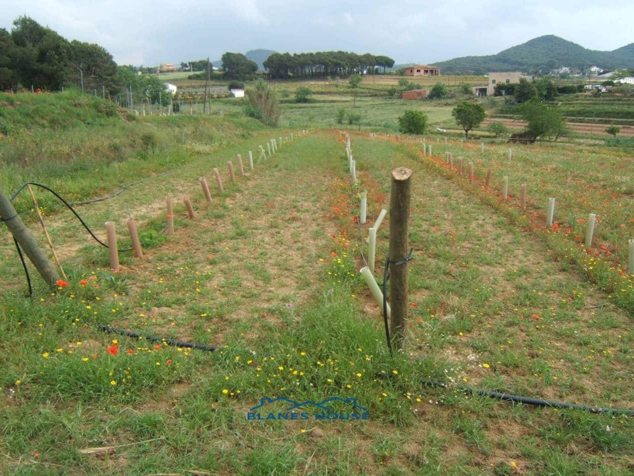 Finca/Landehus til salg i Blanes - € 295.000 (Ref: 9254571)