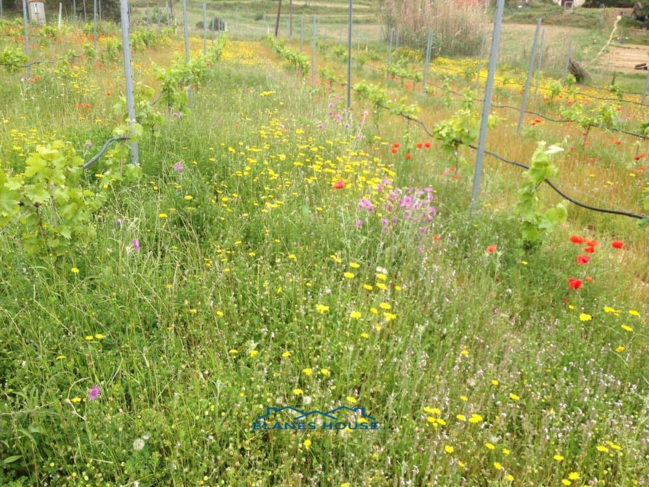 Finca/Landehus til salg i Blanes - € 295.000 (Ref: 9254571)