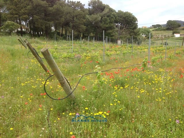 Finca/Casa di Campagna in vendita in Blanes - 295.000 € (Rif: 9254571)