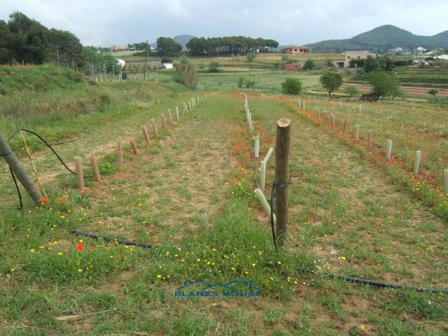 Finca/Casa di Campagna in vendita in Blanes - 295.000 € (Rif: 9254571)