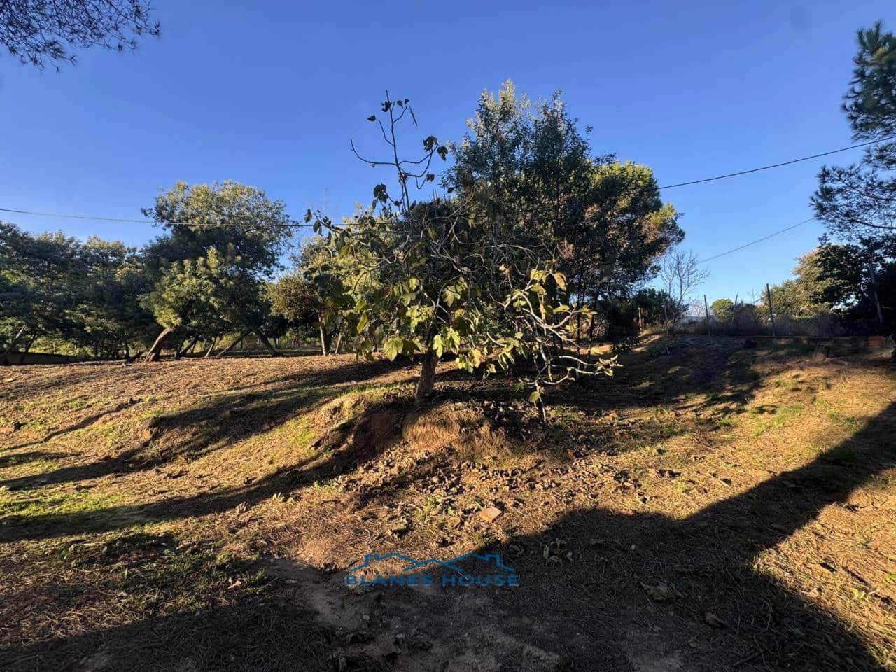 4 sovrum Finca/Hus på landet till salu i Tordera med garage - 475 000 € (Ref: 9421907)