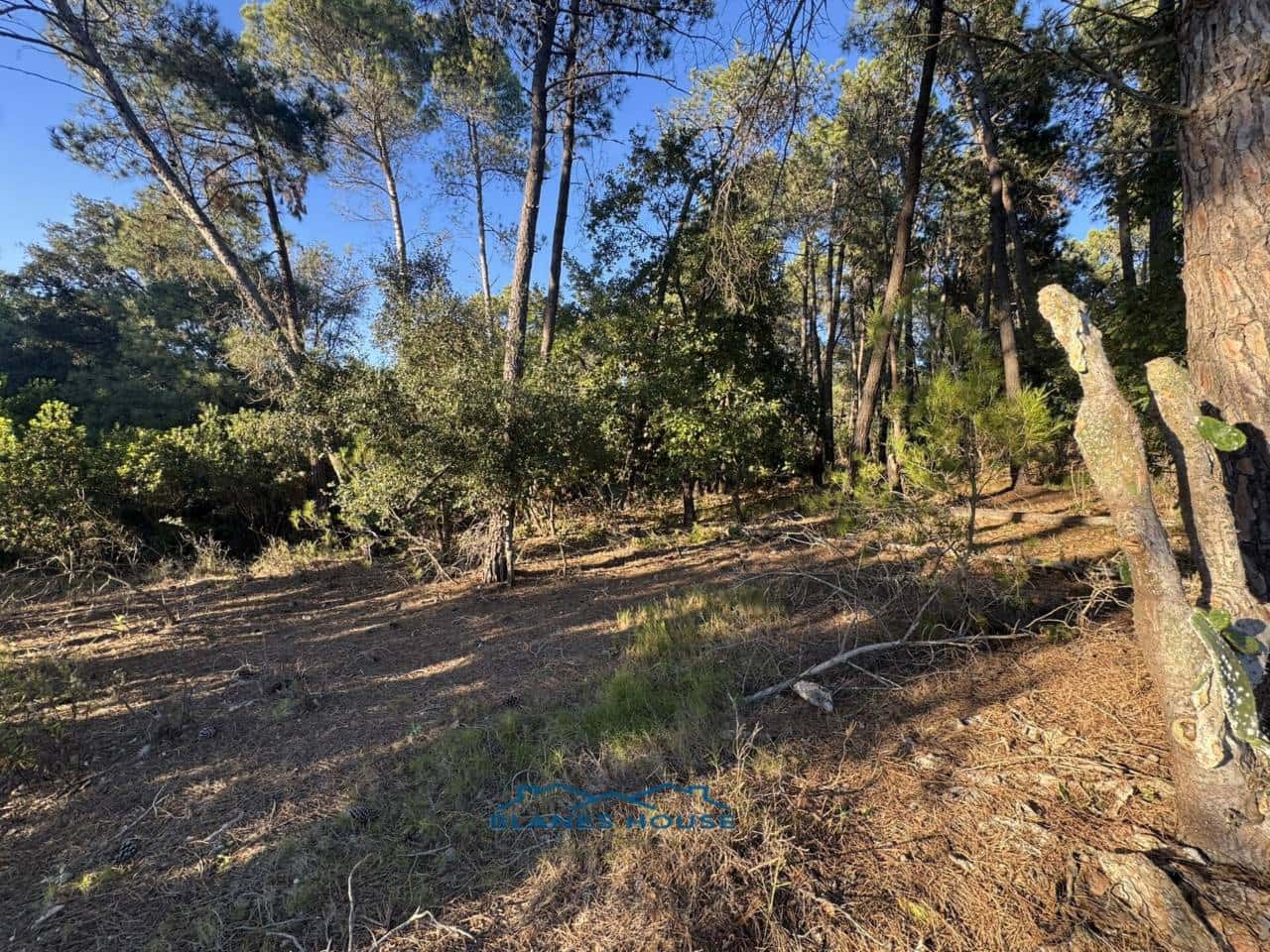 4 sovrum Finca/Hus på landet till salu i Tordera med garage - 475 000 € (Ref: 9421907)