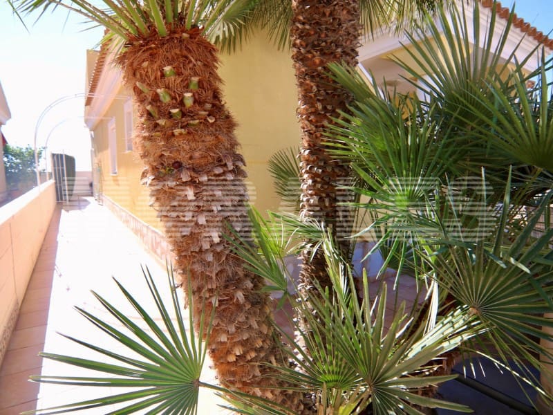2 soverom Villa til salgs i Alamillo - € 260 000 (Ref: 10182928)