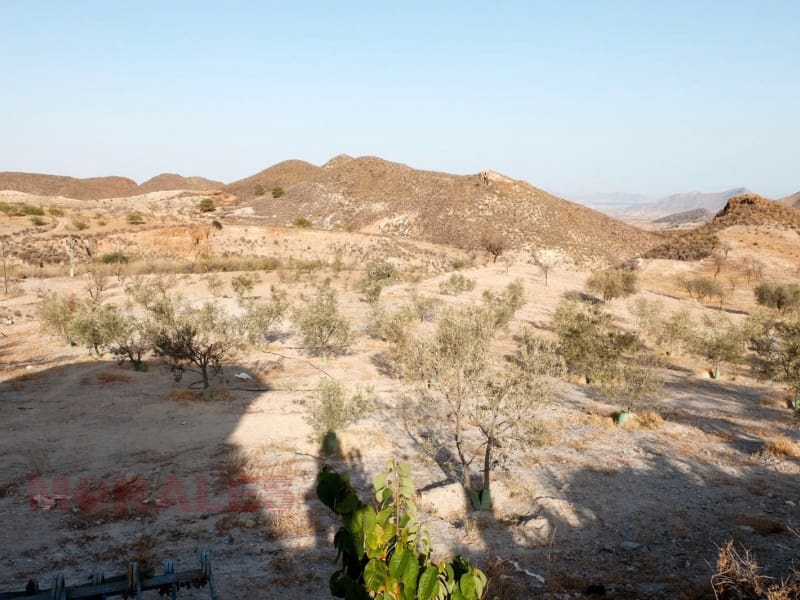 4 sypialnia Finka/Dom wiejski na sprzedaż w Atalaya - 265 000 € (Ref: 6765547)