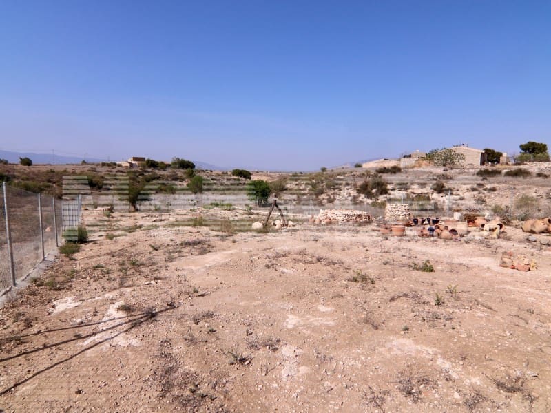 1 sypialnia Finka/Dom wiejski na sprzedaż w Totana - 50 000 € (Ref: 7568113)