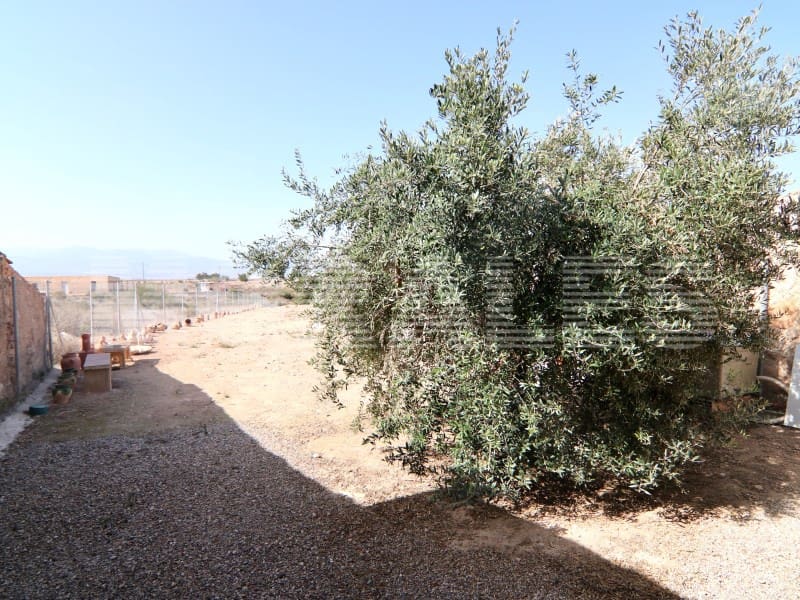 1 sypialnia Finka/Dom wiejski na sprzedaż w Totana - 50 000 € (Ref: 7568113)