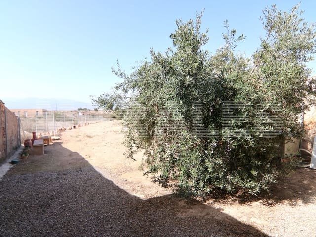 1 soveværelse Finca/Landehus til salg i Los Cantareros, Totana - € 50.000 (Ref: 7568113)