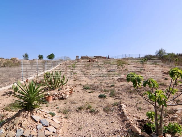 1 soveværelse Finca/Landehus til salg i Los Cantareros, Totana - € 50.000 (Ref: 7568113)