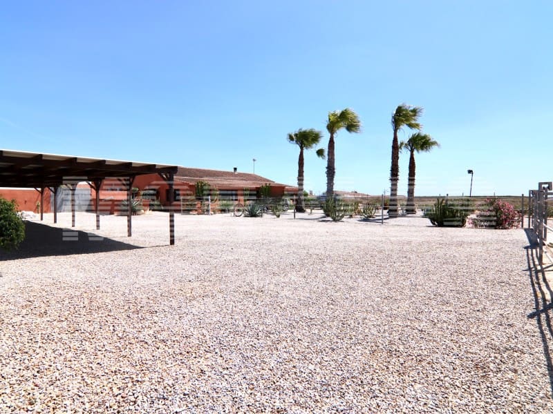 6 chambre Finca/Maison de Campagne à vendre à Los Canovas avec piscine - 494 900 € (Ref: 7648618)