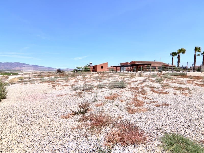 6 chambre Finca/Maison de Campagne à vendre à Los Canovas avec piscine - 494 900 € (Ref: 7648618)