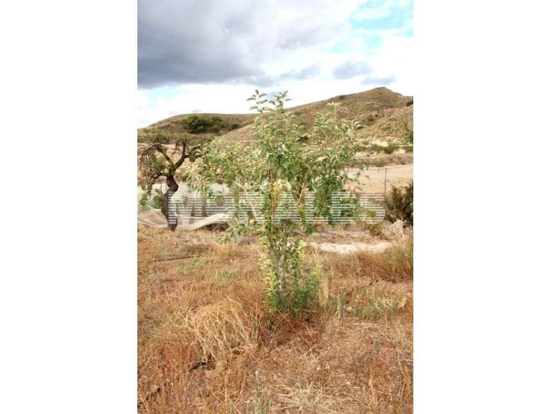 2 sovrum Finca/Hus på landet till salu i Morata - 370 000 € (Ref: 9310787)