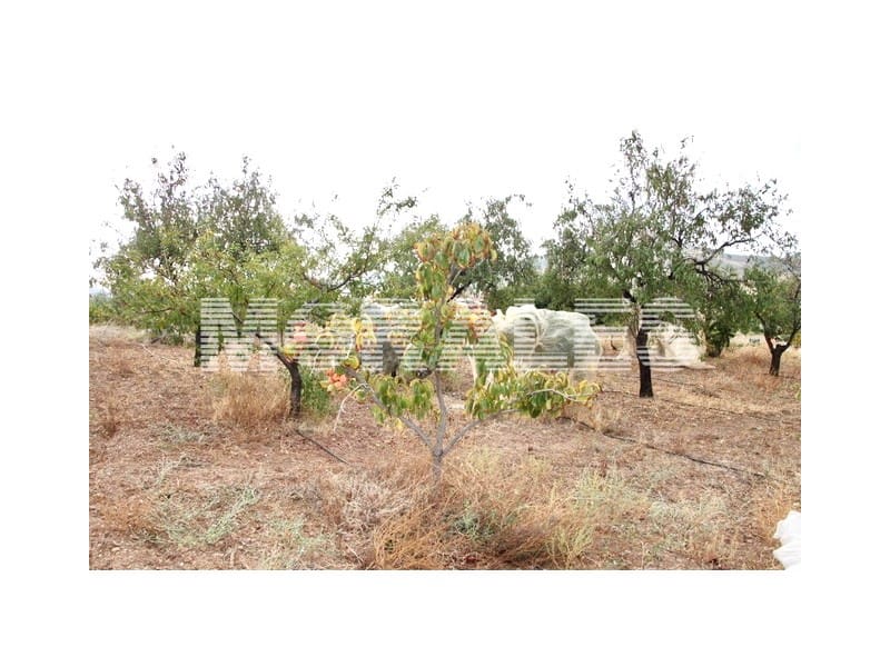 2 sovrum Finca/Hus på landet till salu i Morata - 370 000 € (Ref: 9310787)