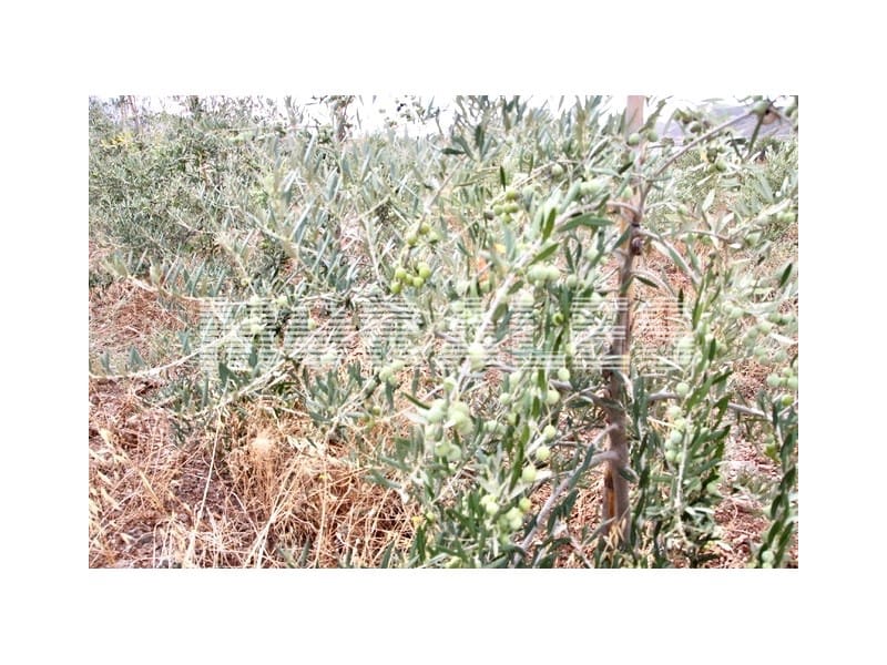 2 sovrum Finca/Hus på landet till salu i Morata - 370 000 € (Ref: 9310787)