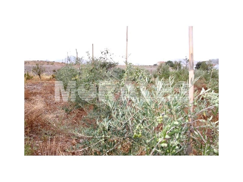 2 sovrum Finca/Hus på landet till salu i Morata - 370 000 € (Ref: 9310787)