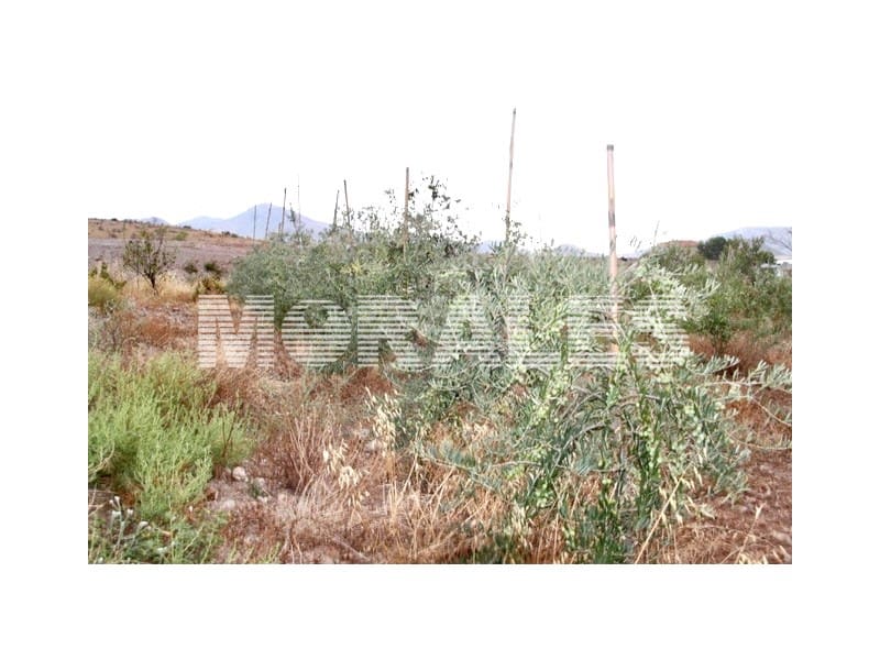 2 sovrum Finca/Hus på landet till salu i Morata - 370 000 € (Ref: 9310787)