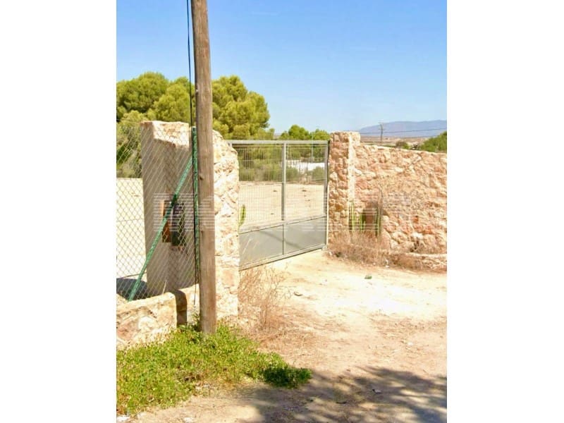 Undeveloped Land for sale in Leiva - € 135,000 (Ref: 9616182)