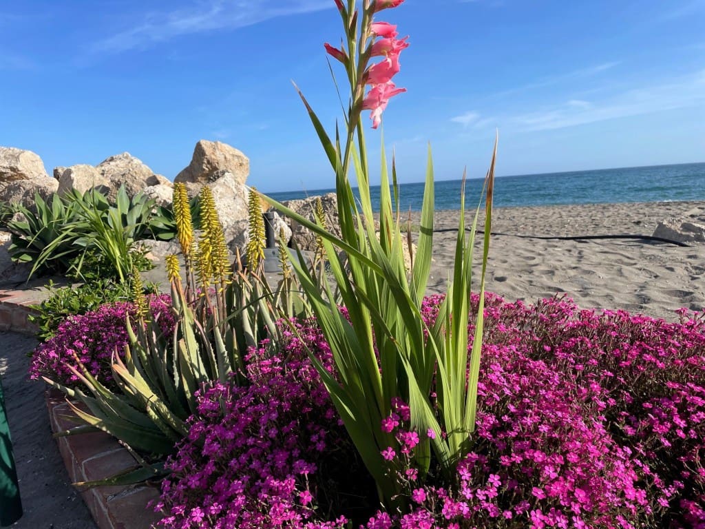 2 camera da letto Casa in vendita in Caleta de Velez - 350.000 € (Rif: 7387975)