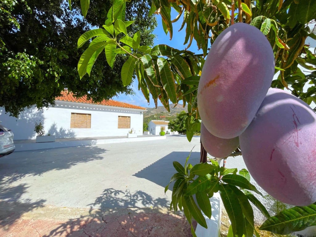 3 slaapkamer Villa te koop in Velez-Malaga met zwembad - € 1.225.000 (Ref: 8554032)