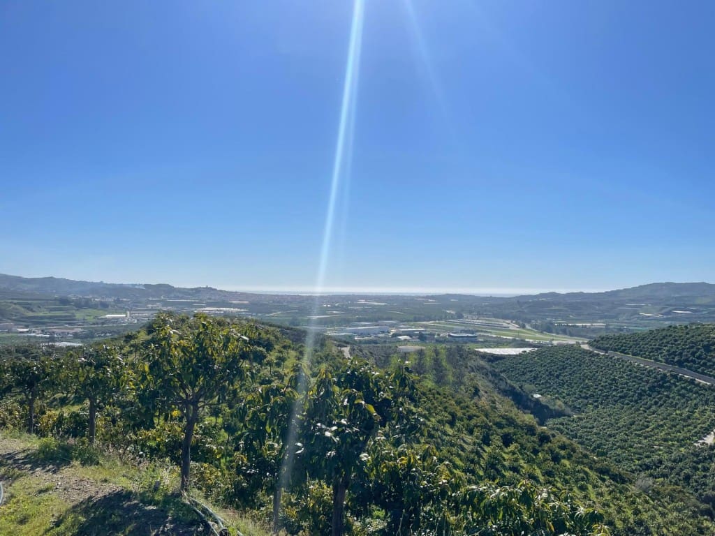 4 bedroom Finca/Country House for sale in Velez-Malaga - € 689,000 (Ref: 9711139)