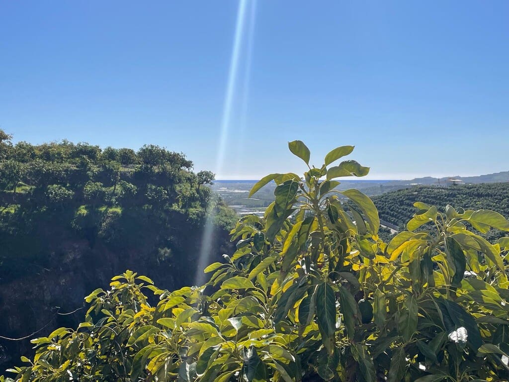 4 bedroom Finca/Country House for sale in Velez-Malaga - € 689,000 (Ref: 9711139)