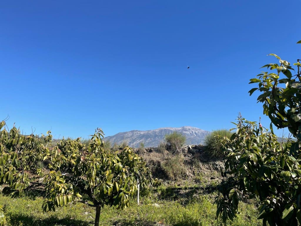 4 bedroom Finca/Country House for sale in Velez-Malaga - € 689,000 (Ref: 9711139)