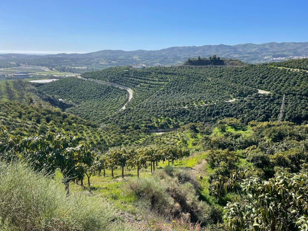 4 bedroom Finca/Country House for sale in Velez-Malaga - € 689,000 (Ref: 9711139)