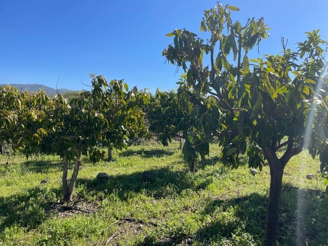 4 bedroom Finca/Country House for sale in Vélez-Málaga - € 689,000 (Ref: 9711139)