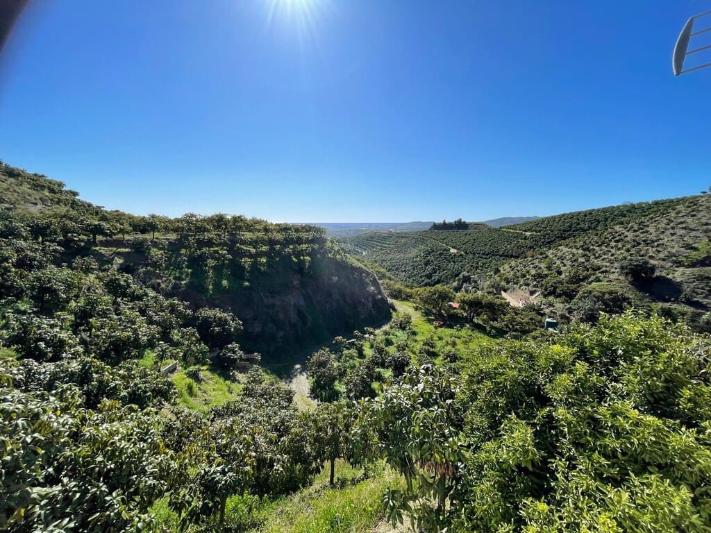 4 bedroom Finca/Country House for sale in Velez-Malaga - € 689,000 (Ref: 9711139)