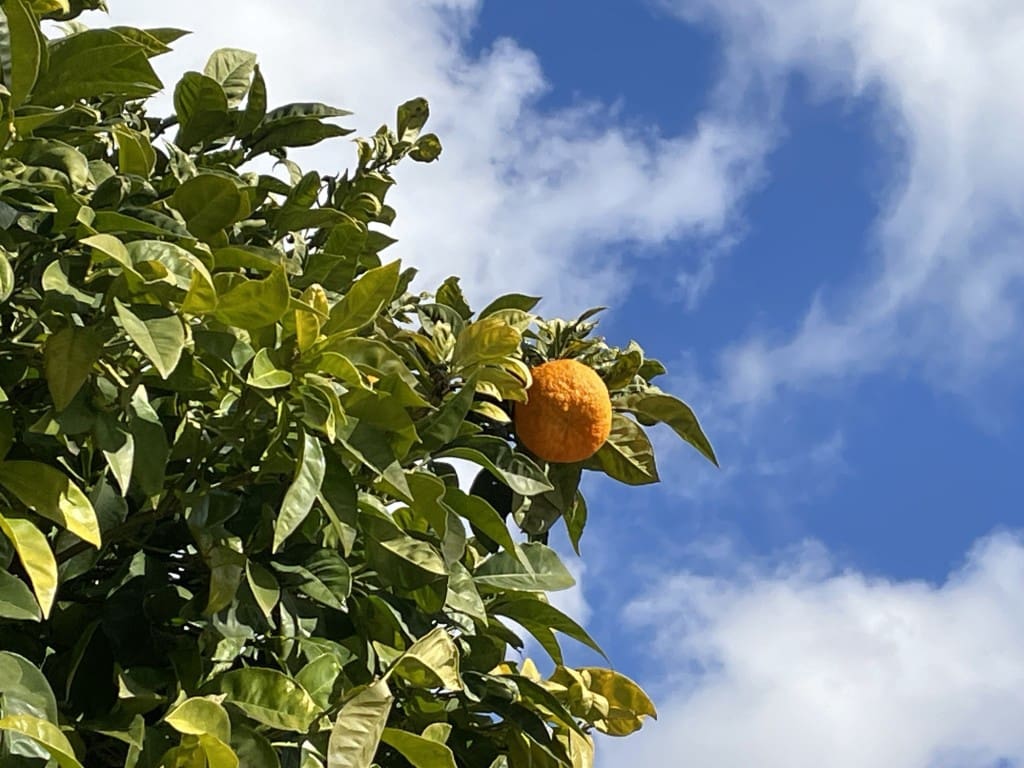 1 bedroom Townhouse for sale in Salares - € 99,000 (Ref: 9743213)