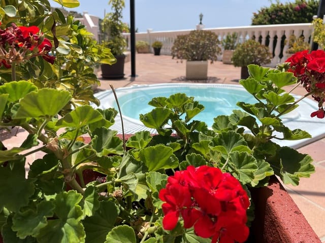 4 soveværelse Villa til salg i Arenas med swimmingpool garage - € 699.999 (Ref: 9780296)