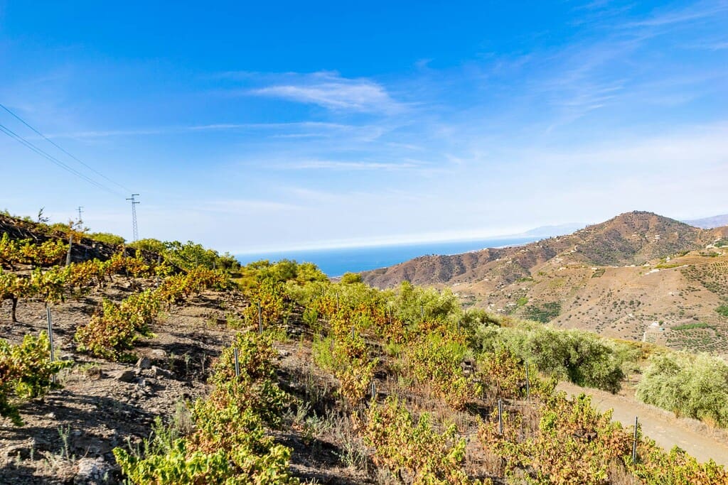 2 bedroom Finca/Country House for sale in Torrox with pool - € 289,000 (Ref: 9800580)