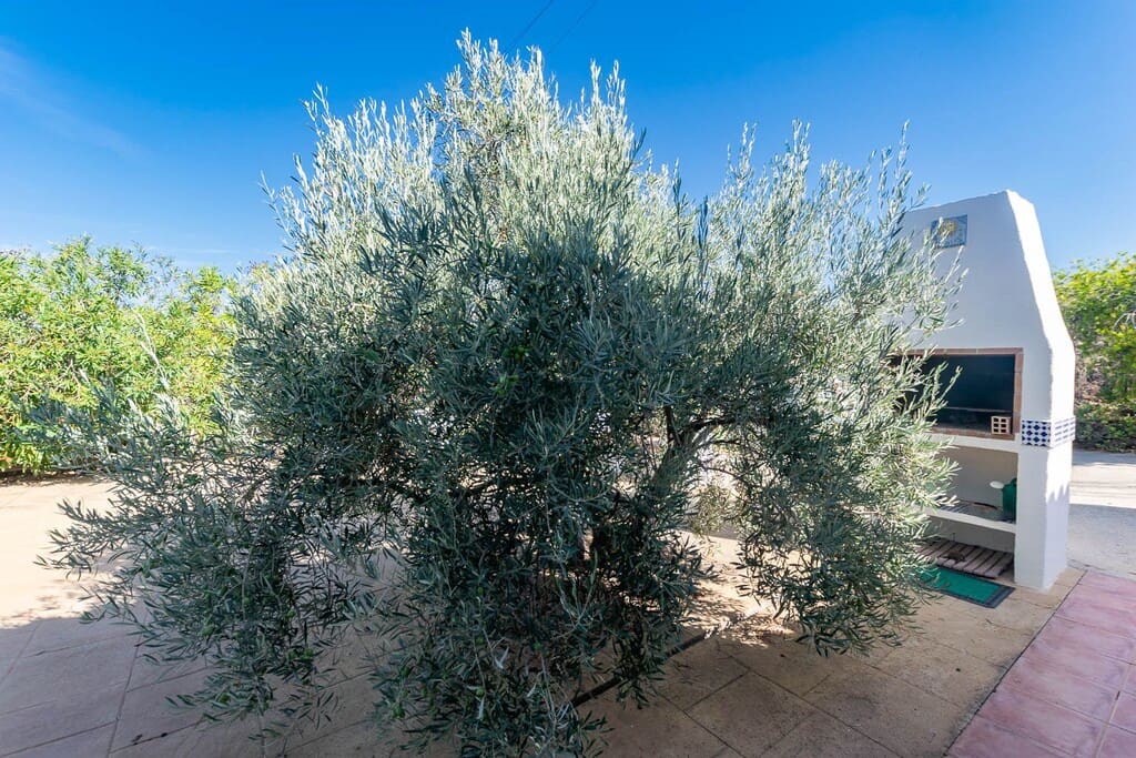 2 bedroom Finca/Country House for sale in Torrox with pool - € 289,000 (Ref: 9800580)