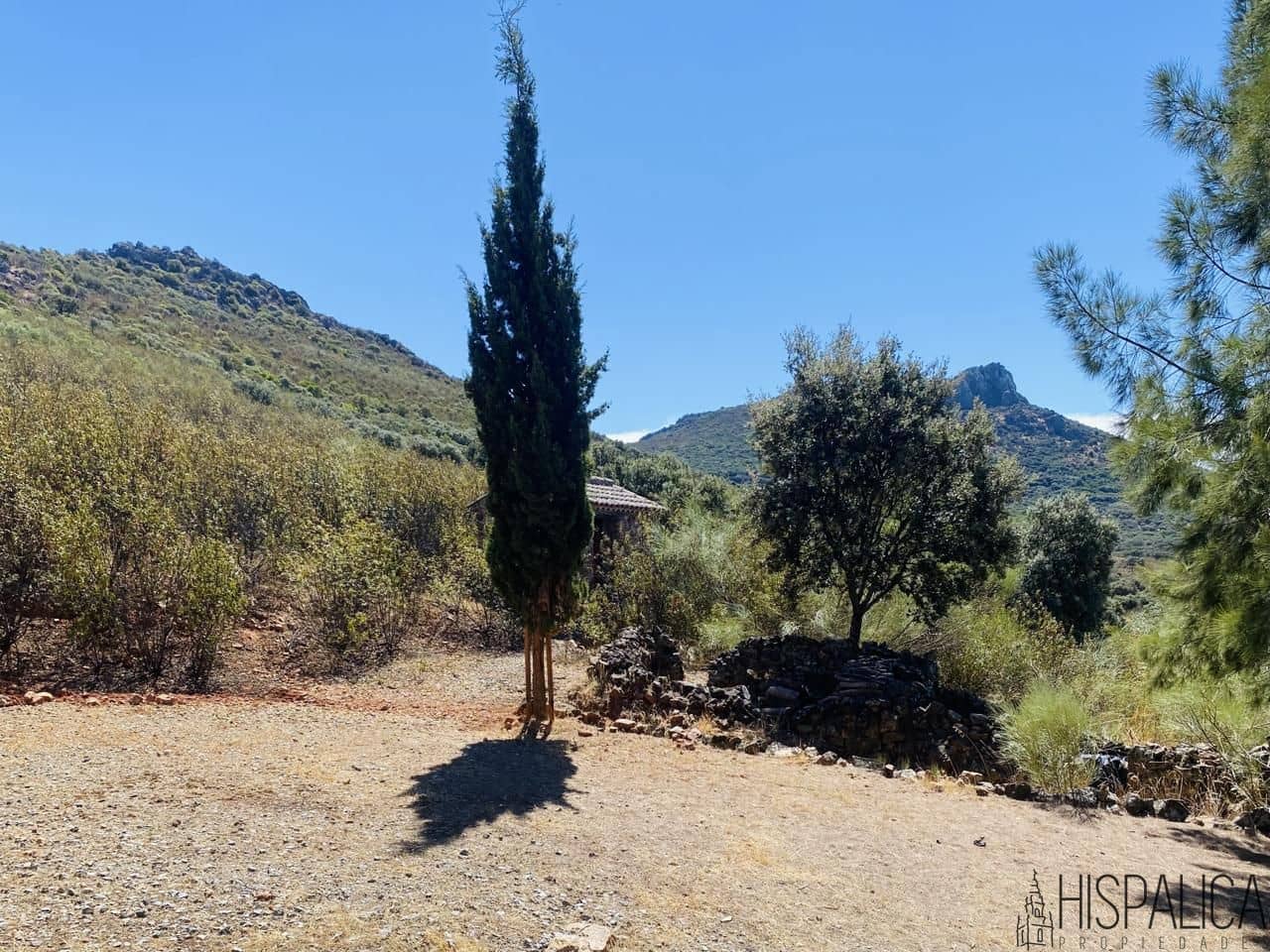 5 bedroom Villa for sale in Santa Eufemia - € 410,000 (Ref: 10046356)