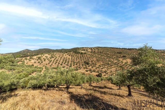 9 bedroom Finca/Country House for sale in Villaharta with pool - € 3,800,000 (Ref: 10180925)