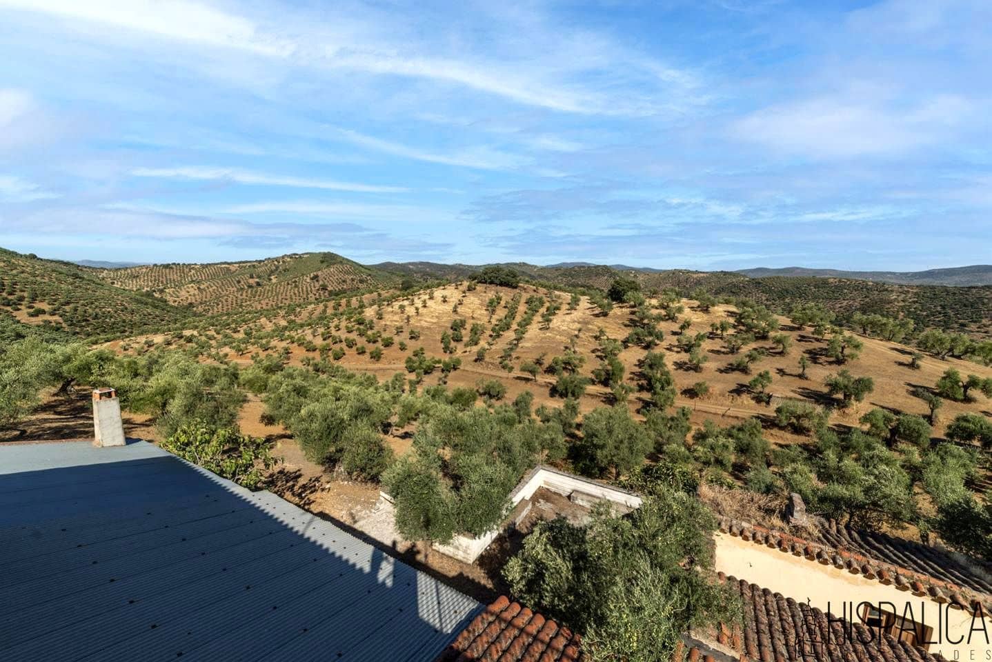 9 bedroom Finca/Country House for sale in Villaharta with pool - € 3,800,000 (Ref: 10180925)