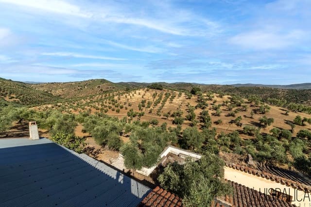 9 bedroom Finca/Country House for sale in Villaharta with pool - € 3,800,000 (Ref: 10180925)