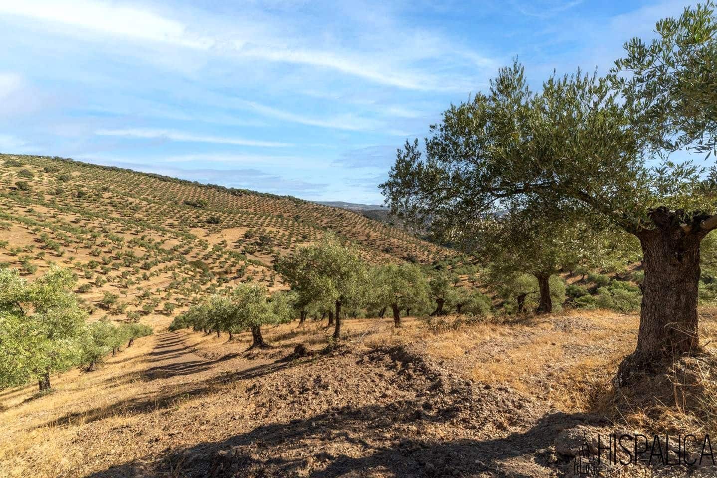9 bedroom Finca/Country House for sale in Villaharta with pool - € 3,800,000 (Ref: 10180925)