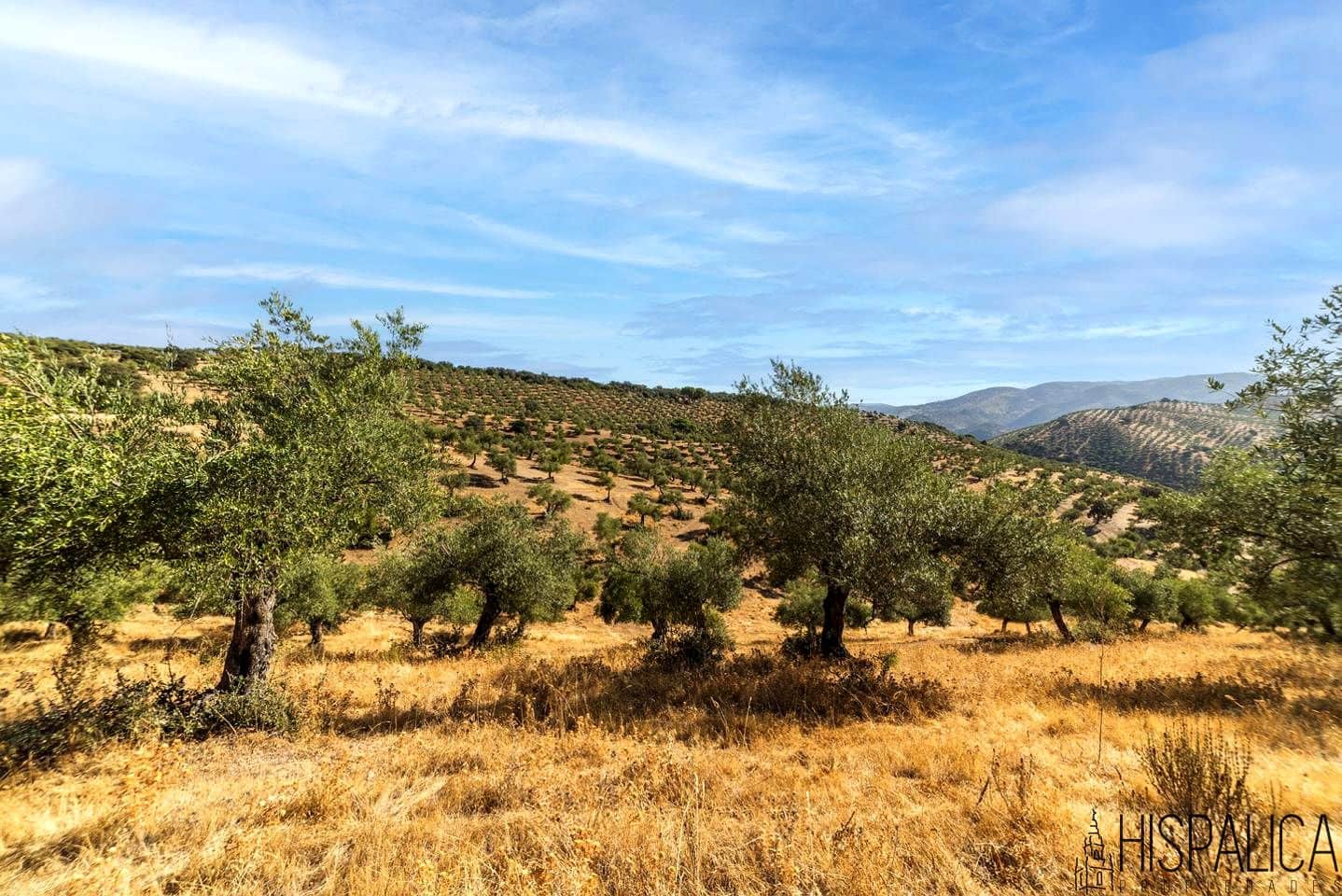 9 bedroom Finca/Country House for sale in Villaharta with pool - € 3,800,000 (Ref: 10180925)