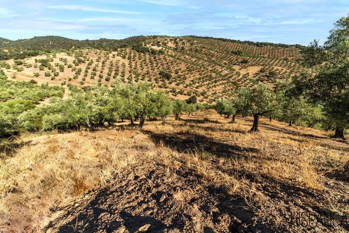 9 bedroom Finca/Country House for sale in Villaharta with pool - € 3,800,000 (Ref: 10180925)