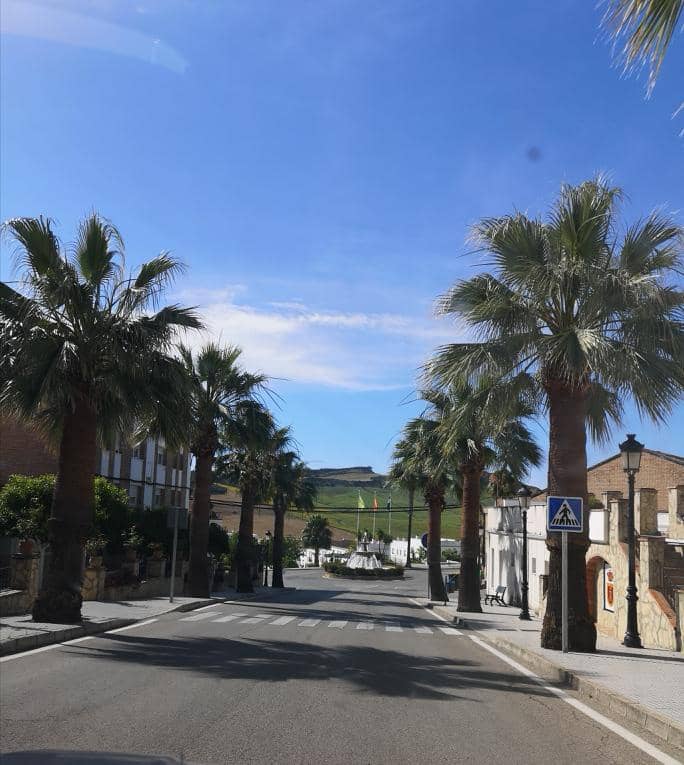 4 soveværelse Villa til salg i Arcos de la Frontera - € 240.000 (Ref: 5350673)