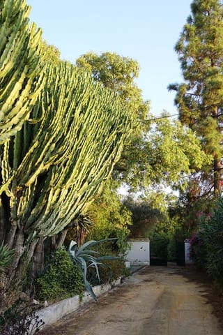 7 chambre Villa/Maison à vendre à Mairena del Aljarafe avec piscine - 800 000 € (Ref: 5686998)
